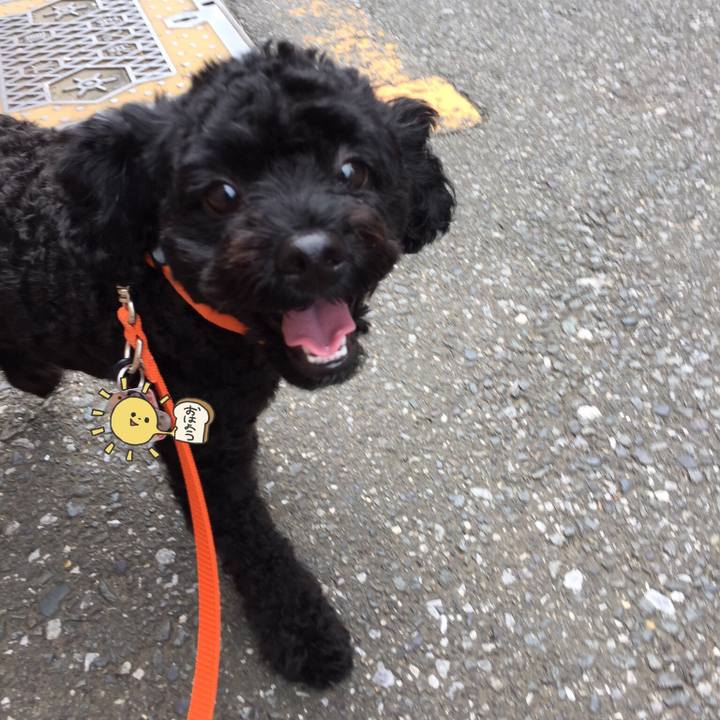 Bd2dfb2c eadd 4333 a5cb 29f4ff26faab