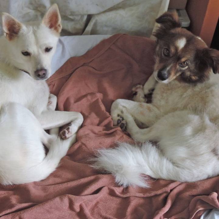 Bd2e53ad 9adb 461d 87f3 d143eb032caa