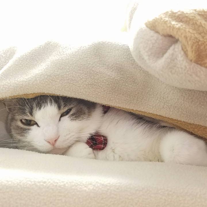 Bd2e6835 b10d 4d9c 9473 9b06538cce9d