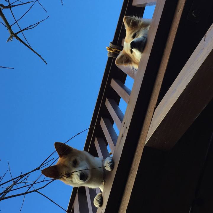 Bd2e69ef 7e4c 4a56 a1b5 751ea0b44ee9