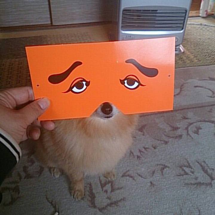 Bd2ebeb0 545d 4ff3 934c e8c277d63377