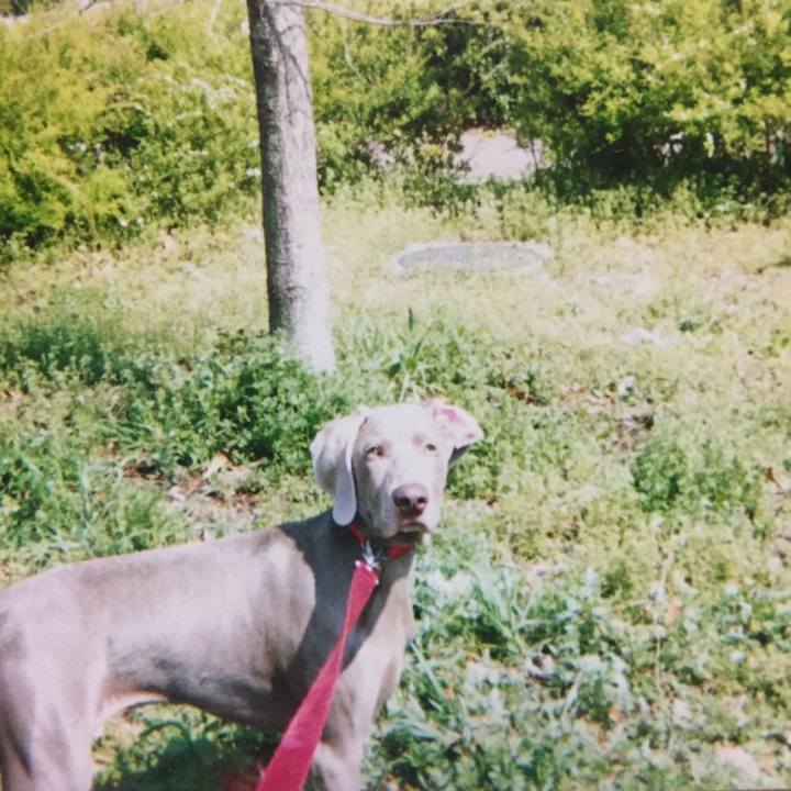 Bd2efe33 dcd1 40cb 95d3 3bf868f83871