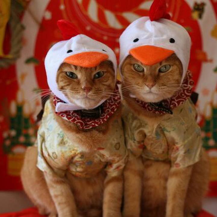 Bd2f3fc7 00a1 4c98 a720 077a38fb7a6d