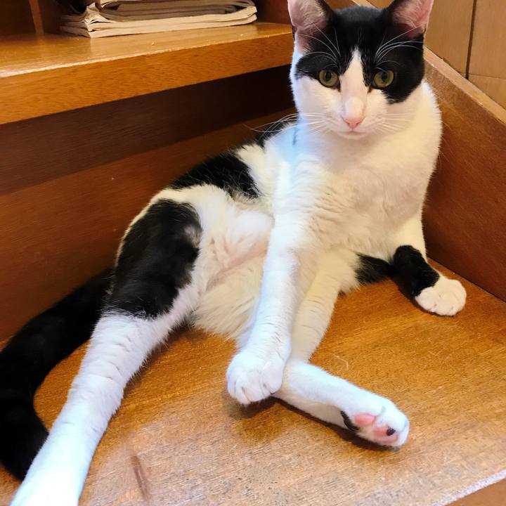 Bd2f6281 7ea5 4757 bb6a 503268e4a9d8