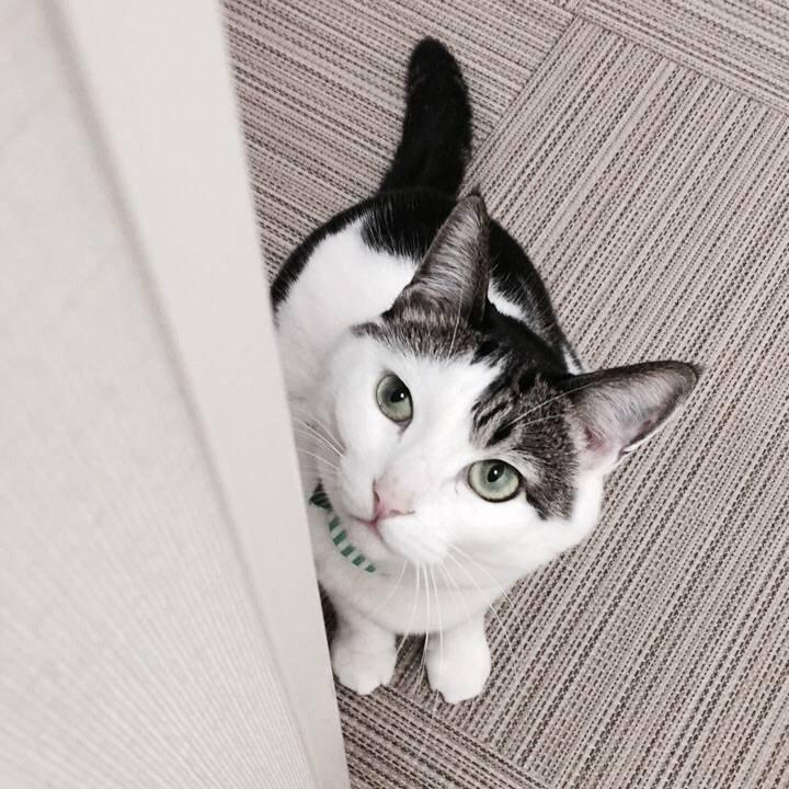 Bd3088c5 09aa 4cd5 bd5d 4c57de084ffe