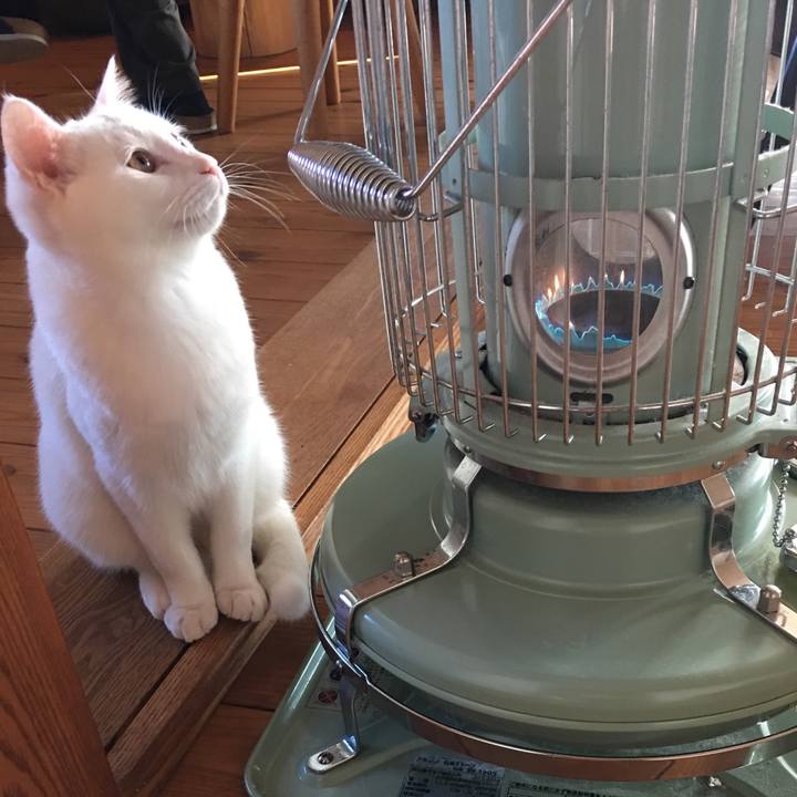 Bd308e76 b0e7 4805 80fb ee2ac7c44589