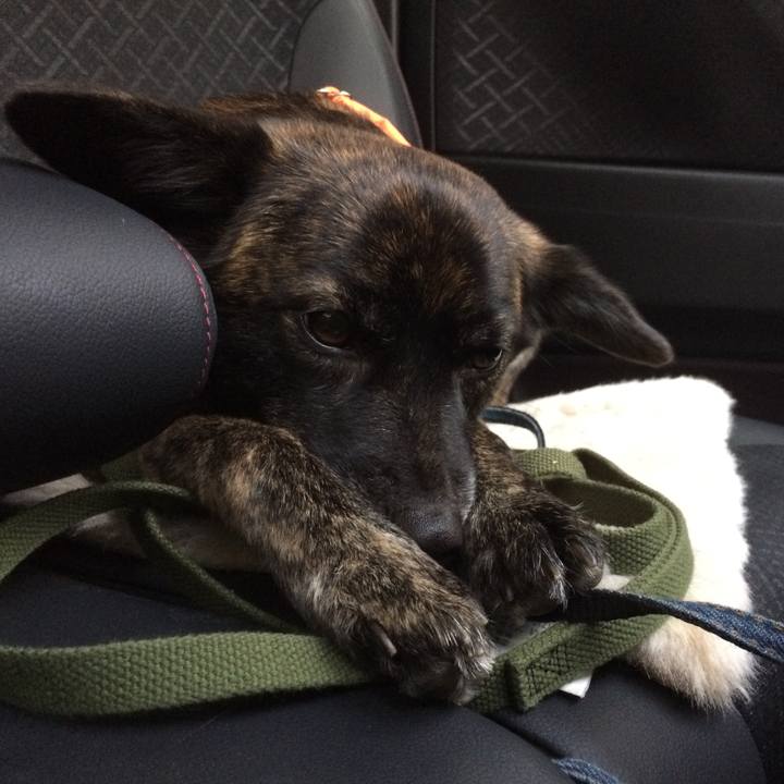 Bd309091 c6c4 4a39 b968 2a78689393e8