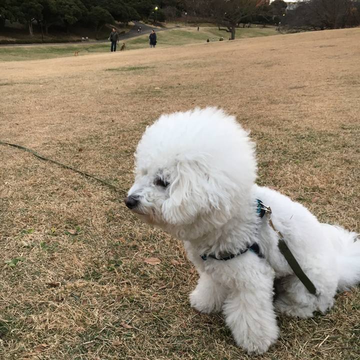 Bd312d82 07e7 4b04 9844 19162f720427