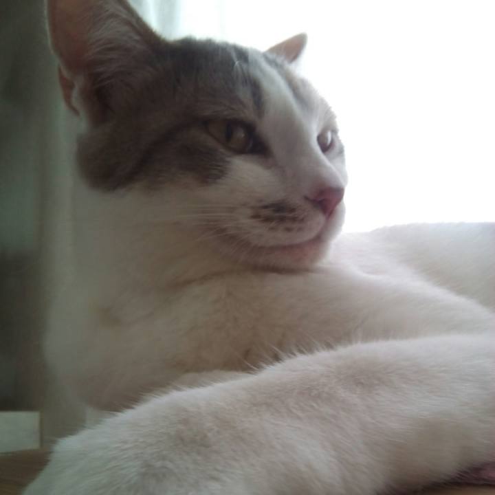 Bd32a111 a874 4ee2 8c9f daaec75b3faf