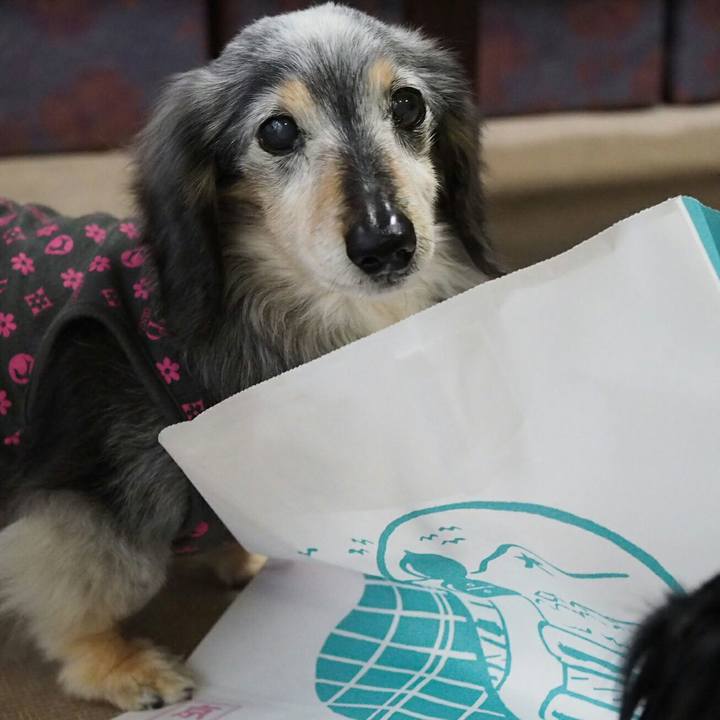 Bd33d1a3 a2e0 40c1 91ec 542fc0c24226