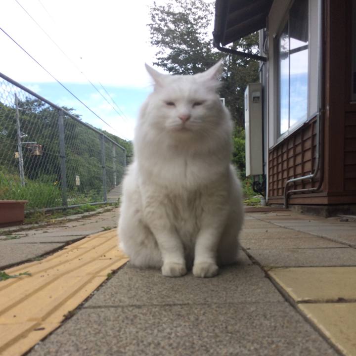 Bd33dd29 5223 403e 9b3f 17b5389764e6