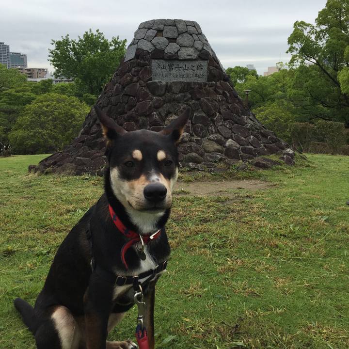 Bd3473c6 4e89 4455 b9d2 290ecdaf0715