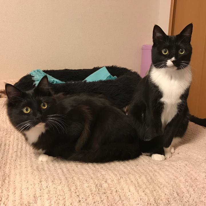 Bd34a238 555e 4c4a b944 477b85b060a1