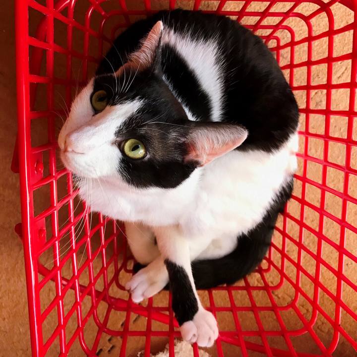 Bd34e820 a462 4d26 9c32 b664f5fbd498