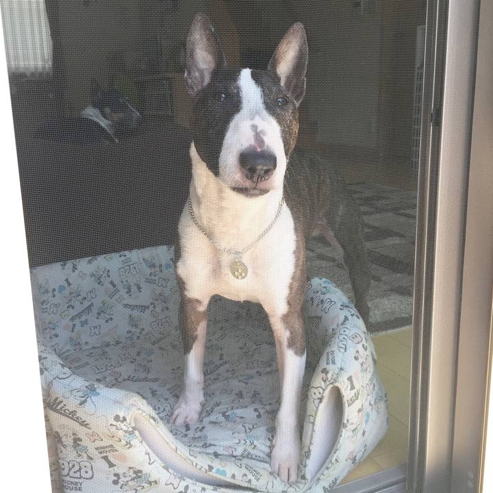 Bd3533a5 1326 4dc4 8a74 f8a16b5e0a12