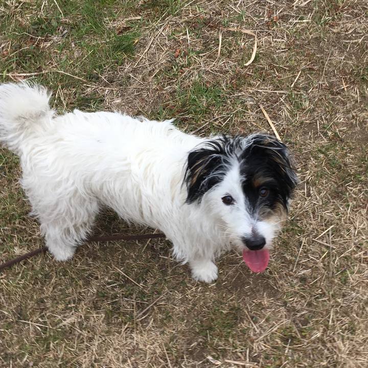 Bd353f9b b3ed 4eec 8f61 5d7e3efaa33c