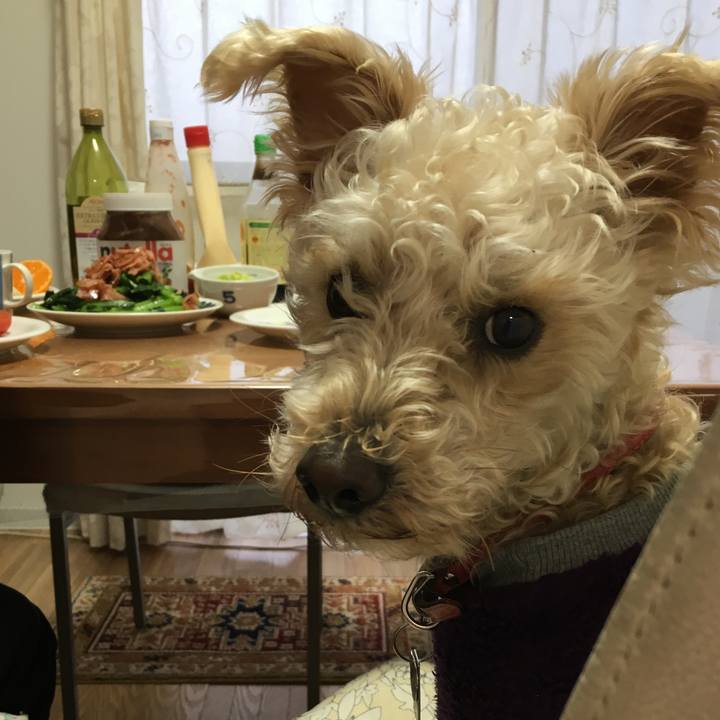 Bd355c64 0dbf 4be1 b05f 814e702f6ead