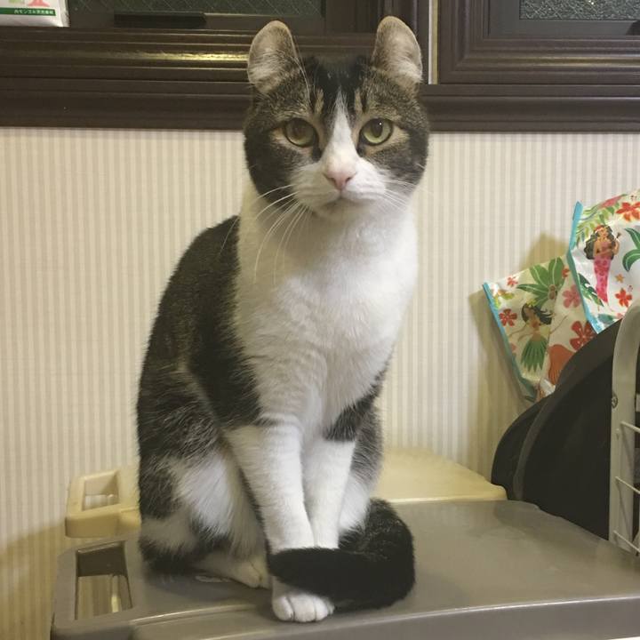 Bd35f57e 4fd0 43b0 be41 43cd04b3f2e3