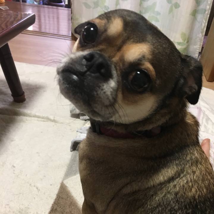 Bd36860a 7c43 4dd4 93ec 289c3933cc63