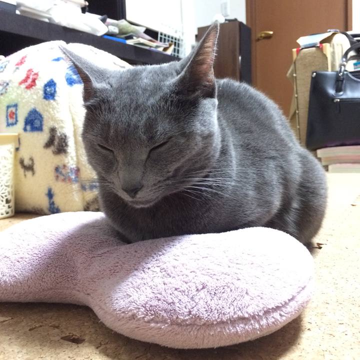 Bd36b137 c675 4e38 a580 032511ceacd3