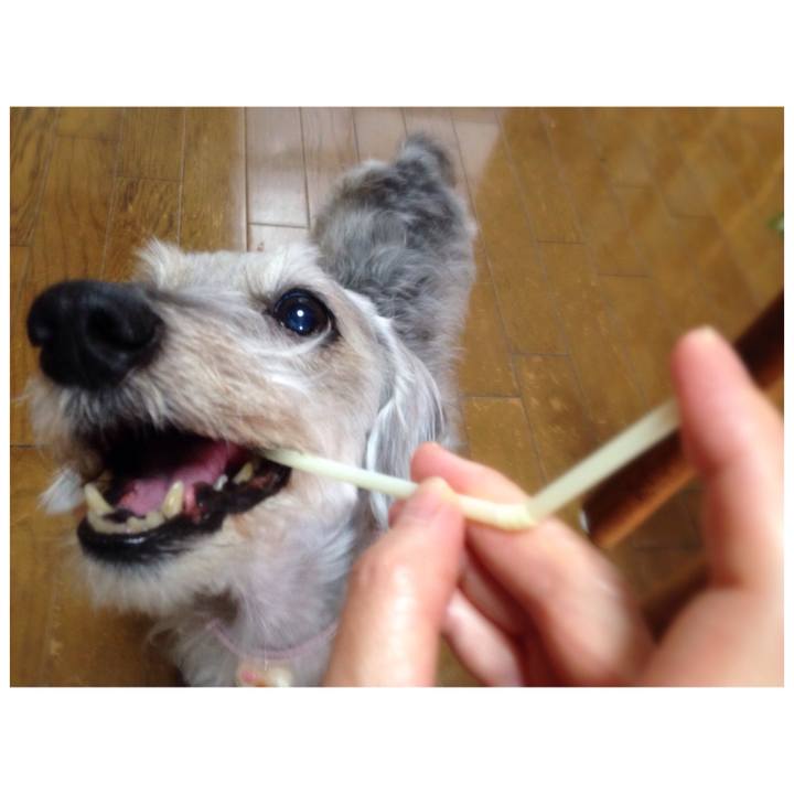 Bd36b221 6b21 49cf 8a3c bc58a7ad5217