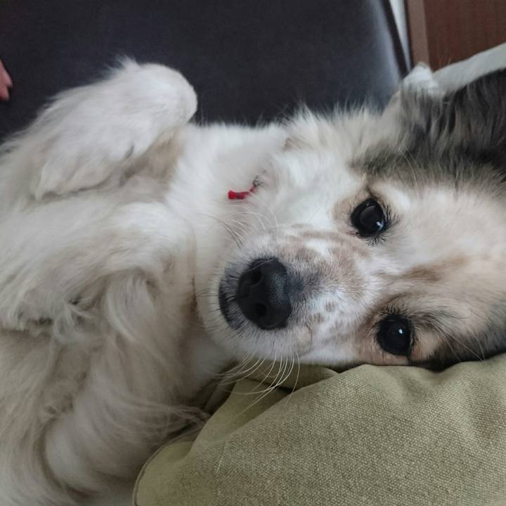 Bd37123b 0156 4201 984e a76d3c377356