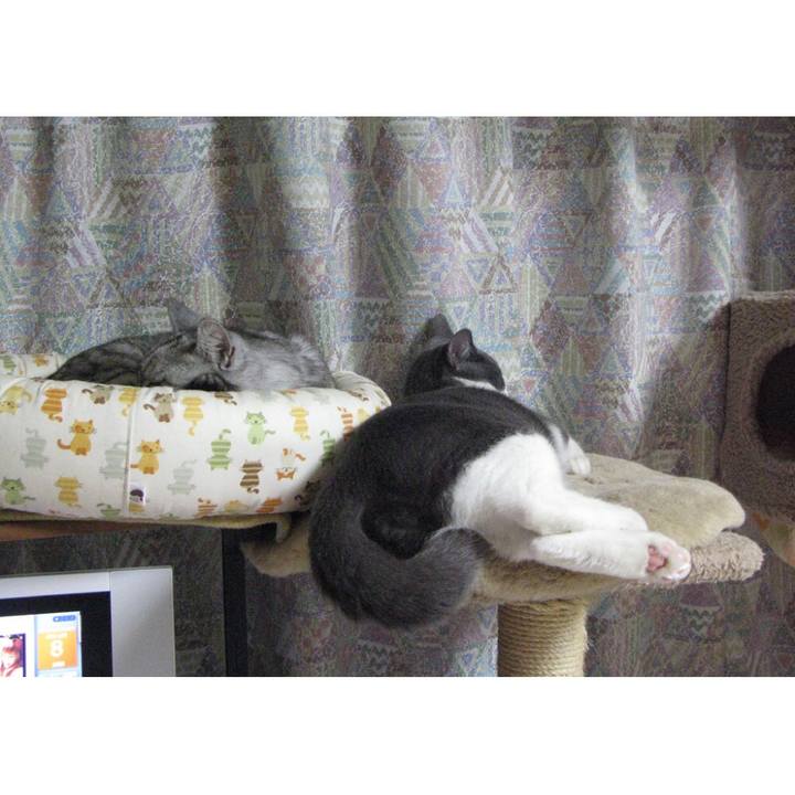 Bd377d1f 678b 45e5 a179 caab948137d2