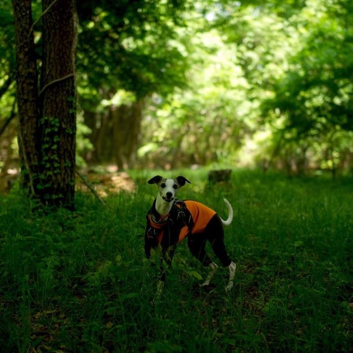 Bd37d4cc f40d 412e b6b7 86bd32d5803b