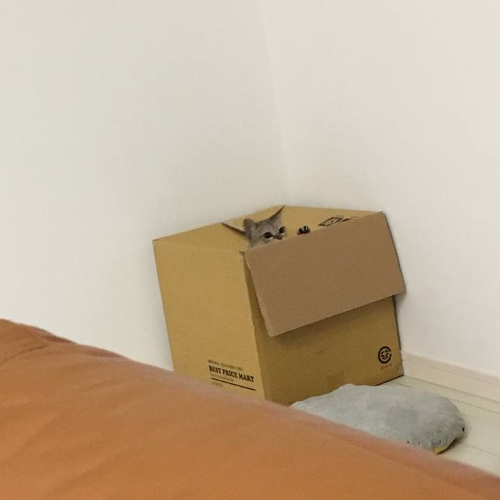 Bd381039 fc7c 4bfe a7cd c281495d3c9f