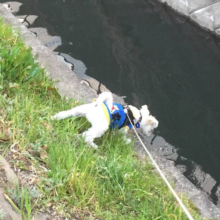 Bd38570b cb57 43cb 95a8 a212a8a39981