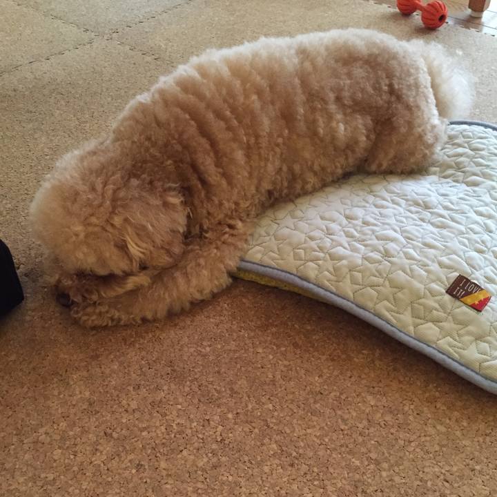 Bd38701c 283a 4d9e b238 32befbd00e84