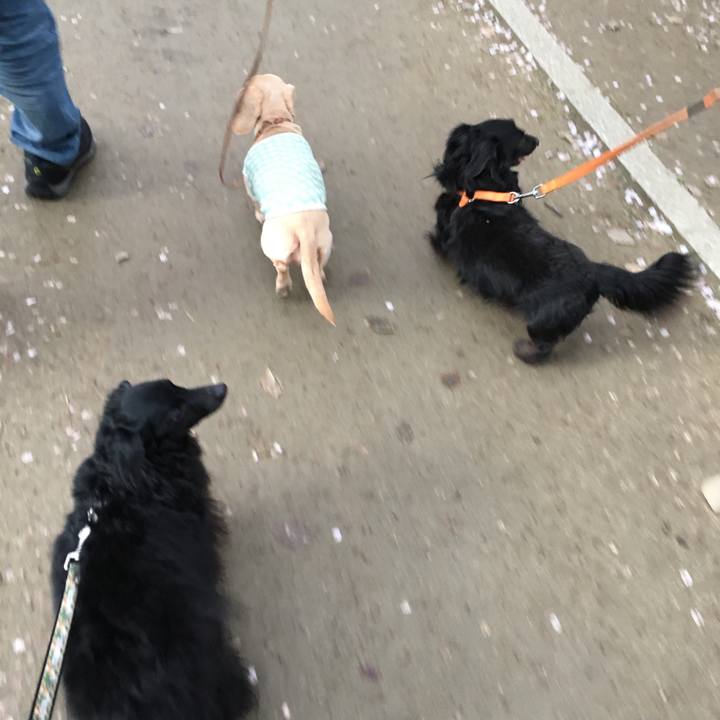 Bd38faf6 0cc1 4c48 81ad 48040f440786