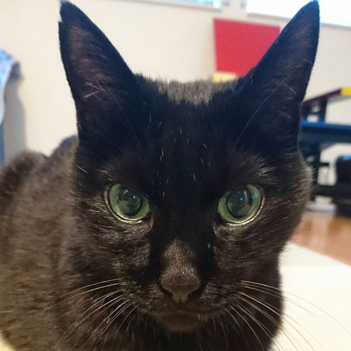 Bd390ee2 b9ff 4a51 883c c456c7378408