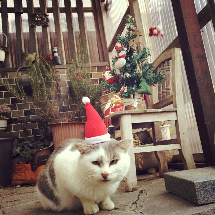 Bd3996a3 7b53 4be5 ab02 b91c05755995