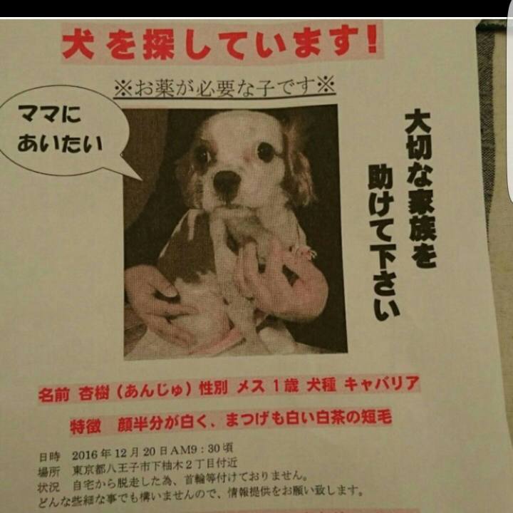 Bd3a4699 056f 428d ae1c 5ca9a0cf3785