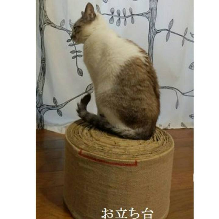 Bd3abbcb 37d9 4ab8 b936 8714602e6fee