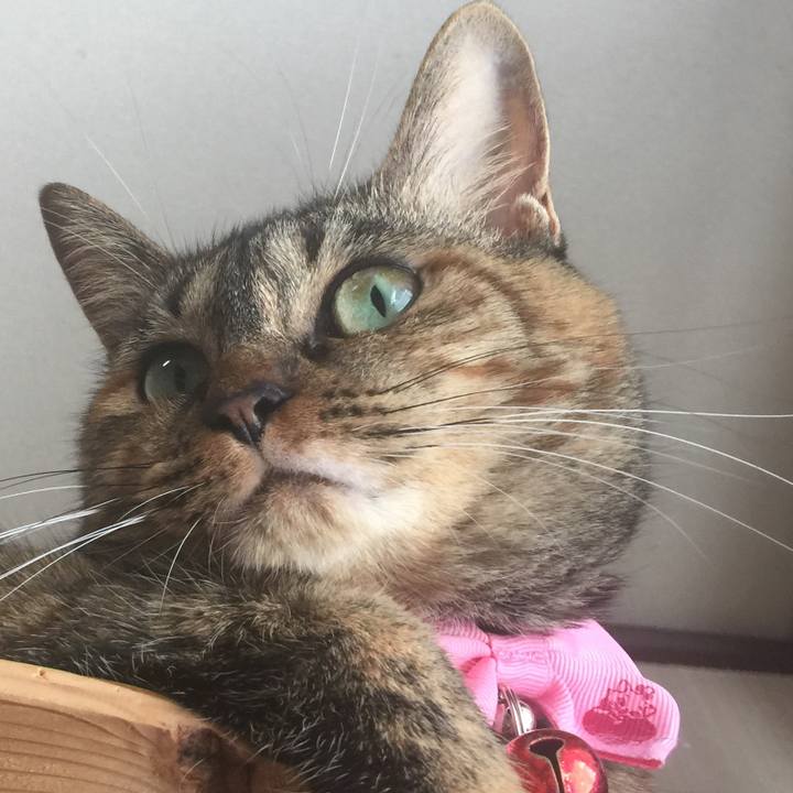 Bd3bf36a ce2e 4b63 a288 def24c8492d0