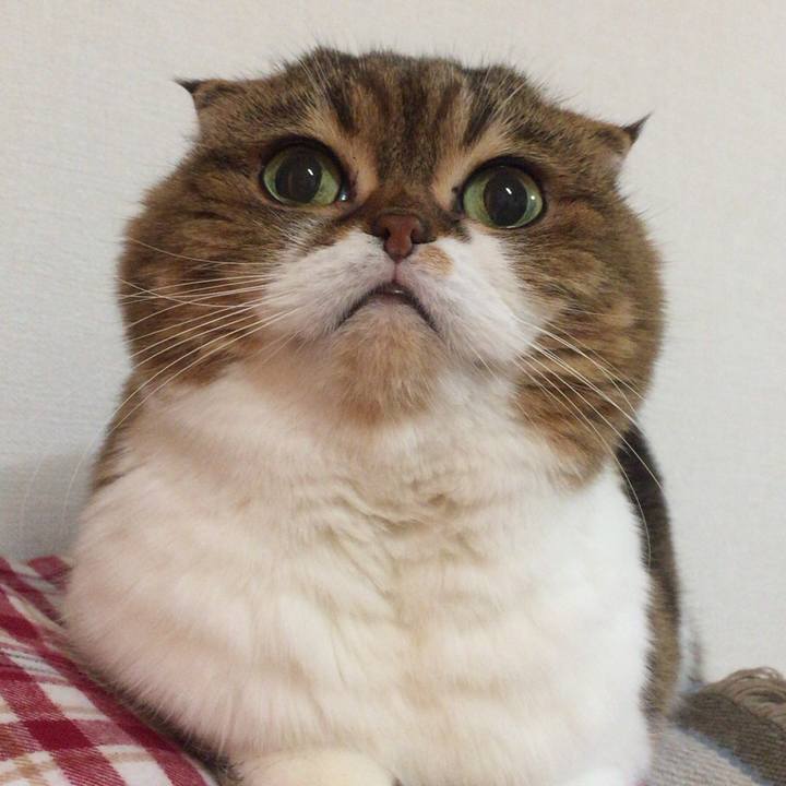 Bd3c1fb9 c03f 4013 bdfa 66d46b65ca8d