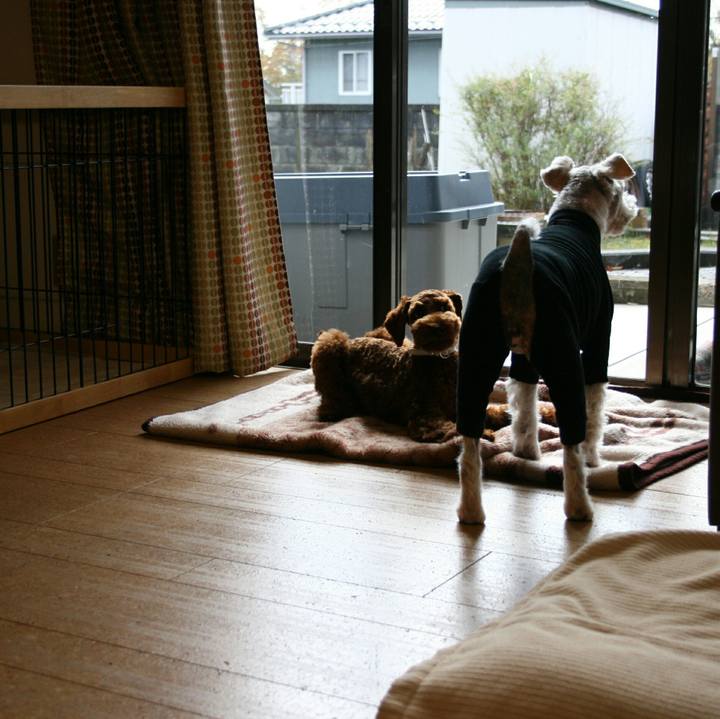 Bd3c4ddf f389 4d93 b76c 0c70d4cfa4cc