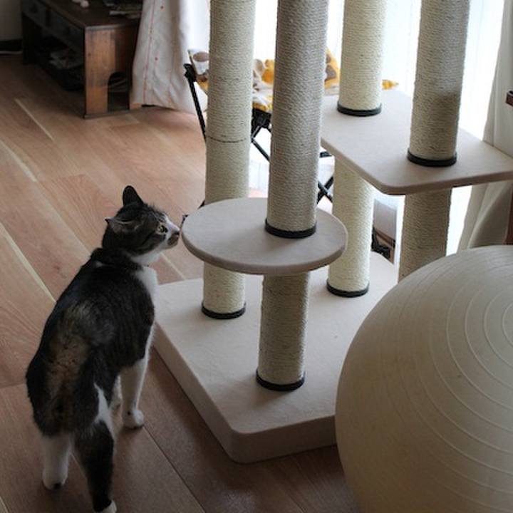 Bd3ce836 c5c7 4b5e a516 ccb43dfb0d5b