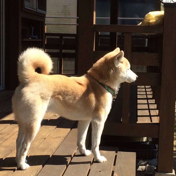 Bd3d65fc 1769 4ea1 8609 321491d540a9