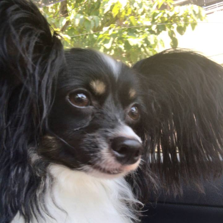 Bd3d8feb f676 48ef 9bec 2f997331ce8a