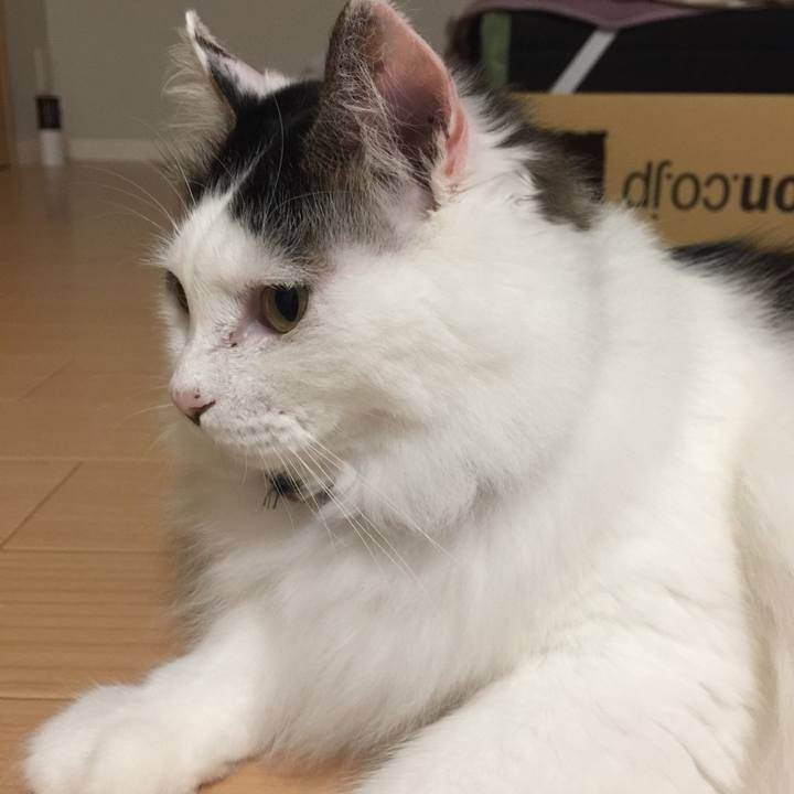 Bd3de2c1 05e0 421b 85d3 81e9717017ab