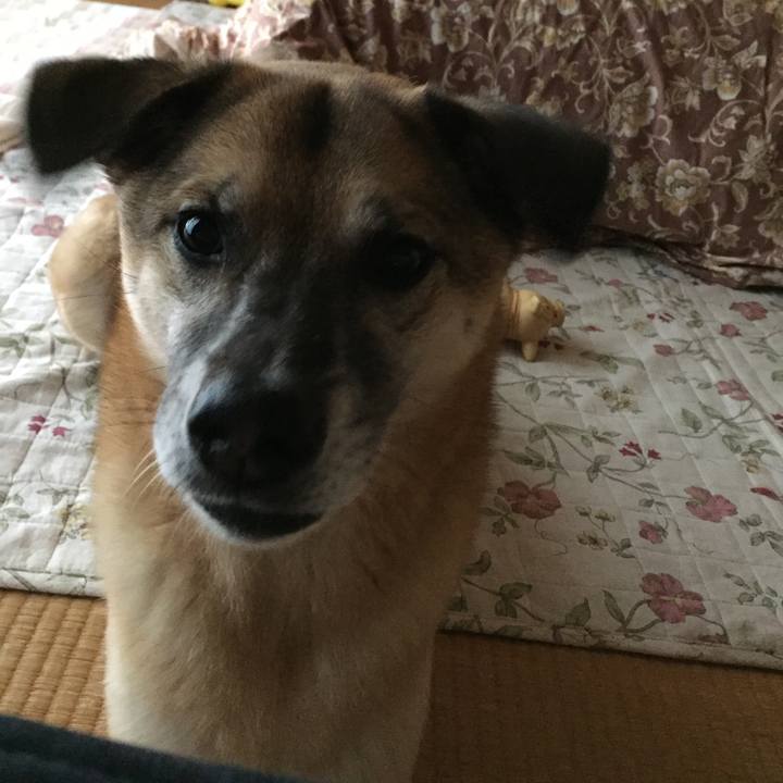 Bd3e9ffd b4f6 4d55 bed3 64fc54c73c89