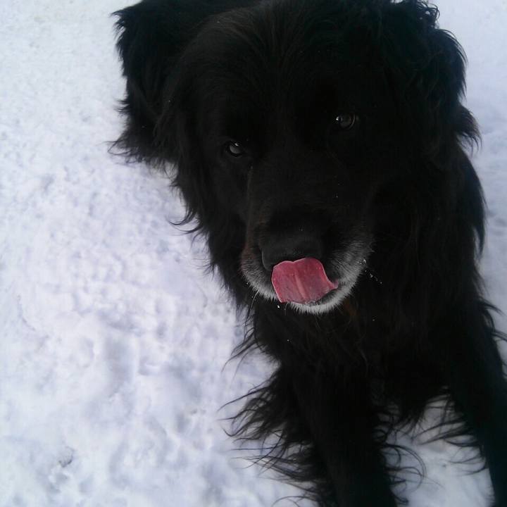 Bd3ff5ab e084 4b44 9e8a 53e45d718196