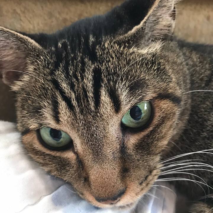 Bd409381 a6ad 498f 8aeb 178333ff330c