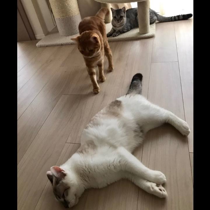 Bd40d241 2069 4685 b53c 8f293426cb35