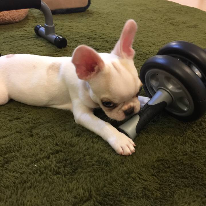 Bd416d17 9fb3 41f6 a61a 8745d423f12d