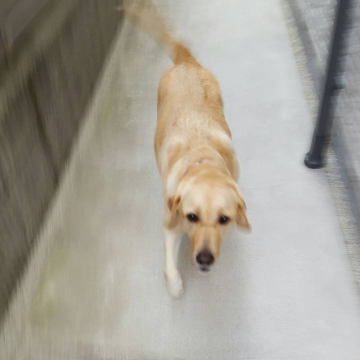 Bd41969c 9cf3 4c7c 8b15 b54236c71cb3