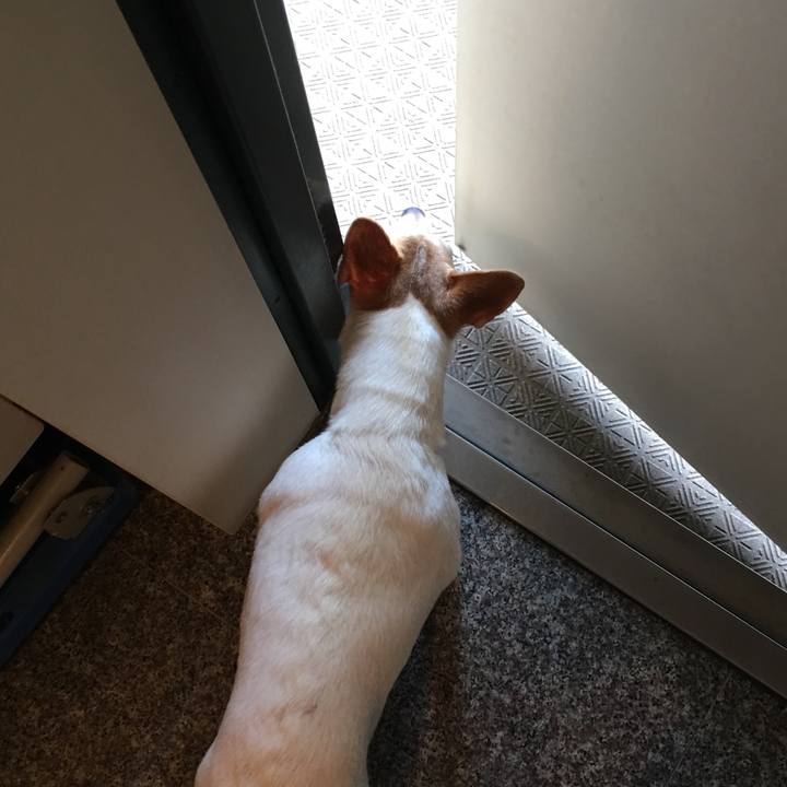 Bd41deb5 6753 4478 b162 ec668ae32d67